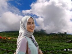 The MOBY PARK, Glamping dan Resto Keren di Wonosobo, Jawa Tengah