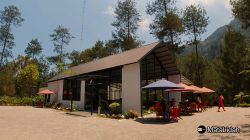 PINEA RESTO & CAFE, Pinea Forest Mangli, Resto Estetik di Kaki Gunung Andong, Magelang