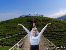 Wisata Hits Karanganyar: KEMUNING SKY VIEW. Ada Jembatan Gantung, Sky Deck dan Dementor-nya!