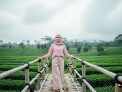 Sensasi Naik Gondola di Kebun Teh Sikatok Wonosobo, Jawa Tengah