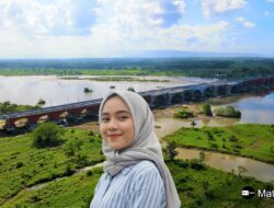 Jembatan Pandansimo: Jembatan Terpanjang di Yogyakarta, Ikon Baru Yogyakarta